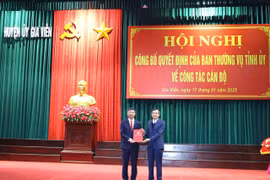 Điều động, bổ nhiệm cán bộ ở các tỉnh Ninh Bình, Thái Bình