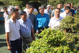 Bắc Ninh: Trưng bày 99 tác phẩm cây cảnh nghệ thuật và thả 99 đàn chim bồ câu chào mừng Đại hội Đảng bộ tỉnh