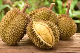 Giá sầu riêng hôm nay 29/12: Ri6 tăng mạnh 8.000 đồng/kg