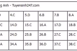 Gợi ý đáp án đề thi tốt nghiệp THPT 2025 môn Tiếng Anh (tất cả các mã đề)