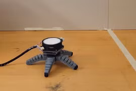 Xem robot lai sinh học được điều khiển bằng sợi nấm