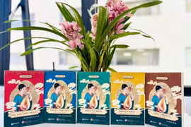 Khám phá sự phát triển của tiếng Việt qua 5 ấn phẩm ‘Truyện Kiều’