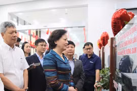 Sắp xếp lại đơn vị sự nghiệp công lập tại Đà Nẵng bảo đảm tinh gọn, tăng tự chủ