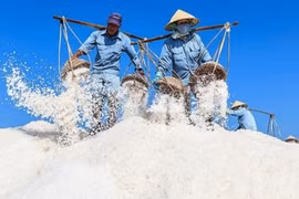 Bạc Liêu sẵn sàng cho Festival nghề Muối Việt Nam 2025