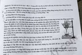 Đáp án đề thi tốt nghiệp THPT 2025 môn Lịch sử, mã đề 0810 (tham khảo)