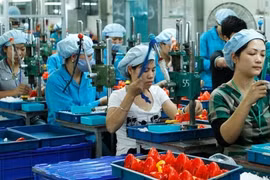 Báo chí thực hiện cung cấp thông tin về kinh tế tư nhân khách quan, trung thực, đầy đủ