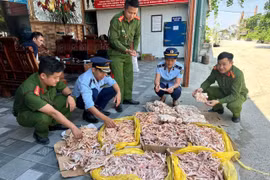 Thực phẩm bẩn âm thầm len lỏi vào bàn ăn của người tiêu dùng Việt Nam