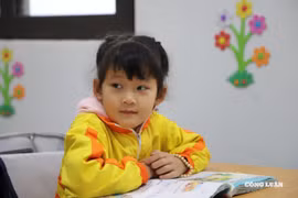 Học sinh tiểu học Việt Nam dẫn đầu Đông Nam Á về Toán và Đọc hiểu