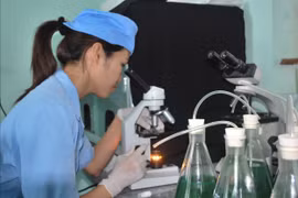 Đột phá khoa học, công nghệ và chuyển đổi số: Động lực chủ yếu cho phát triển quốc gia giai đoạn mới