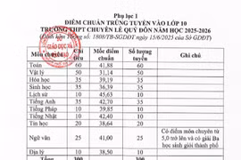 Đà Nẵng công bố điểm thi lớp 10 và điểm chuẩn vào trường chuyên