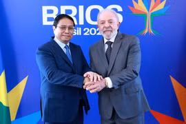 Việt Nam - Brazil nhất trí thúc đẩy quan hệ đối tác chiến lược lên tầm cao mới