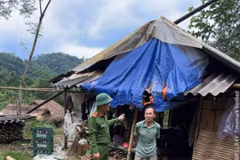 Thanh Hoá: Di dời 324 hộ dân trước khi bão số 10 đổ bộ