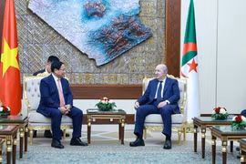 Việt Nam - Algeria: Sớm cụ thể hóa khuôn khổ Đối tác Chiến lược bằng những dự án, hoạt động thiết thực