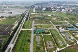 Hà Nội giao hơn 17ha đất để xây nhà liền kề và nhà ở xã hội tại xã Quang Minh