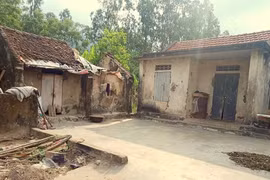 Hà Nam quyết tâm hoàn thành xóa nhà tạm, nhà dột nát trên địa bàn tỉnh trước ngày 30/6