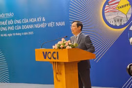 Để giảm tác động thuế đối ứng, cần giải quyết kịp thời các vướng mắc mà Mỹ quan tâm