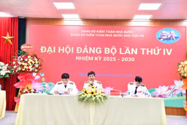 Đại hội Đảng bộ KTNN khu vực VII lần thứ IV
