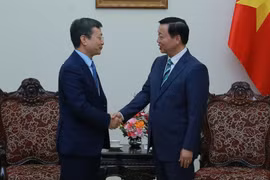 Việt Nam không phân biệt giữa doanh nghiệp Nhà nước hay tư nhân trong phát triển đường sắt