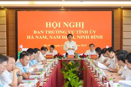 Ban Thường vụ Tỉnh ủy Hà Nam, Nam Định, Ninh Bình thông qua công tác tổ chức bộ máy thực hiện sáp nhập tỉnh
