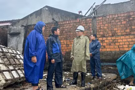Quảng Ngãi: Biển Sa Cần sạt lở nghiêm trọng, 30 hộ dân thấp thỏm lo âu