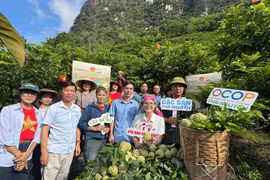 Thương mại điện tử và các nền tảng số- cơ hội phát triển kinh tế cho vùng khó