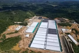 Thanh Hóa: Trại lợn nhiều lần gây ô nhiễm được hoạt động trở lại