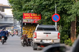 451 ô tô bị phạt nguội ở Hà Nội trong tháng 5