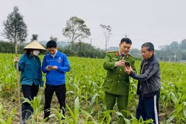 Chuyển đổi số đã“chạm” từng ngõ, đến từng nhà