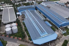 Tập đoàn Sao Mai (ASM) chậm kế hoạch năm, bị phạt và truy thu thuế 3,6 tỷ đồng