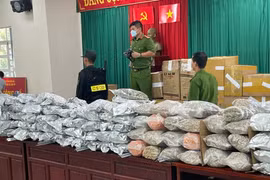 Thu giữ hơn 1 tấn cần sa, bắt 26 đối tượng trong đường dây mua bán ma túy từ Thái Lan về Việt Nam