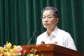 Cử tri Đà Nẵng, Long An kiến nghị nhiều vấn đề dân sinh, phát triển địa phương