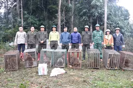 Lào Cai: Đẩy mạnh bảo tồn đa dạng sinh học và bảo vệ các loài hoang dã