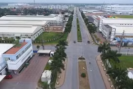 Phú Thọ: Mời thầu 344 tỷ xây dựng tuyến đường từ KCN Thụy Vân đến đoạn nối đường Nguyễn Tất Thành - Tôn Đức Thắng