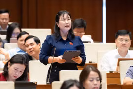 Đề nghị thiết kế lại mô hình cai nghiện tự nguyện để bảo đảm thực chất và an toàn cộng đồng