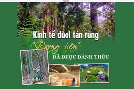 Hiệu quả từ phát triển báo chí đa phương tiện trong nhiệm vụ tuyên truyền chuyển đổi xanh