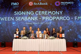 Hai tổ chức tài chính thuộc chính phủ Pháp và Hà Lan đầu tư 80 triệu USD cho SeABank