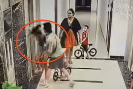 Tạm giam đối tượng hành hung người phụ nữ tại sảnh thang máy chung cư tại Hà Nội
