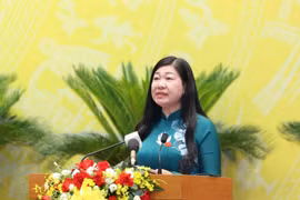 Cử tri Hà Nội lo ngại thực phẩm bẩn, lừa đảo công nghệ cao