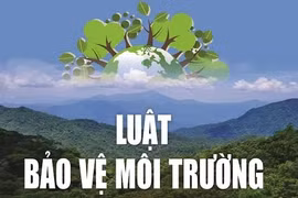 Hiệu quả từ công tác phối hợp tuyên truyền pháp luật về bảo vệ môi trường
