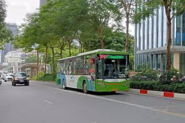 Transerco dự kiến thí điểm vận hành xe buýt điện từ ngày 1/2
