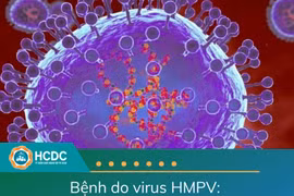 Virus gây bệnh phổi lạ ở Trung Quốc có đáng lo sợ?