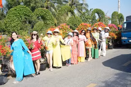 Tưng bừng lễ hội hoa - kiểng 'Sắc màu Chợ Lách'