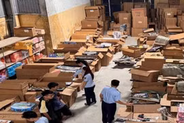 Ninh Bình: Phát hiện hơn 3.000 sản phẩm đồ chơi trẻ em không rõ nguồn gốc, xuất xứ