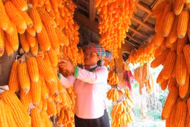 Lai Châu: Đẩy mạnh giảm nghèo, hướng tới sự phát triển bền vững