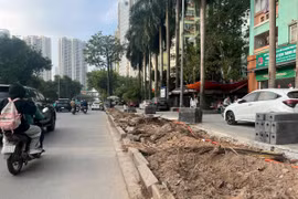 Xén hè mở rộng nút giao, Hà Nội chặt hạ cây xanh theo phương án được duyệt