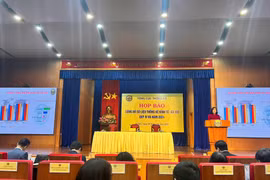 GDP Việt Nam năm 2024 tăng 7,09%, cao thứ 4 trong 13 năm