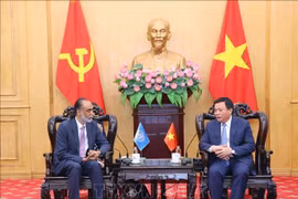 Thúc đẩy hợp tác Việt Nam-Liên hợp quốc về chuyển đổi số, đổi mới sáng tạo