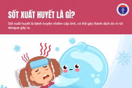 Tăng cường các biện pháp phòng, chống sốt xuất huyết
