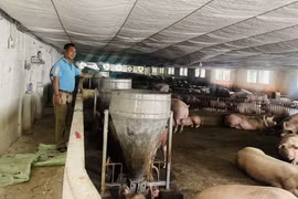 Xã Đoài Phương tiếp tục nâng cao các tiêu chí nông thôn mới