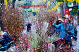 Ban Bí thư ban hành Chỉ thị về tổ chức Tết Bính Ngọ 2026: Bảo đảm an toàn, lành mạnh, tiết kiệm